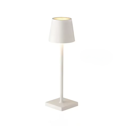 Table Lamp With Led Light